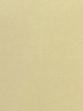 Laserboard - PolyBAK - Ivory - 600 x 300 x 0.4mm