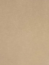 Flex Laserboard - PolyBAK - Tan - 600 x 300 x 0.3mm
