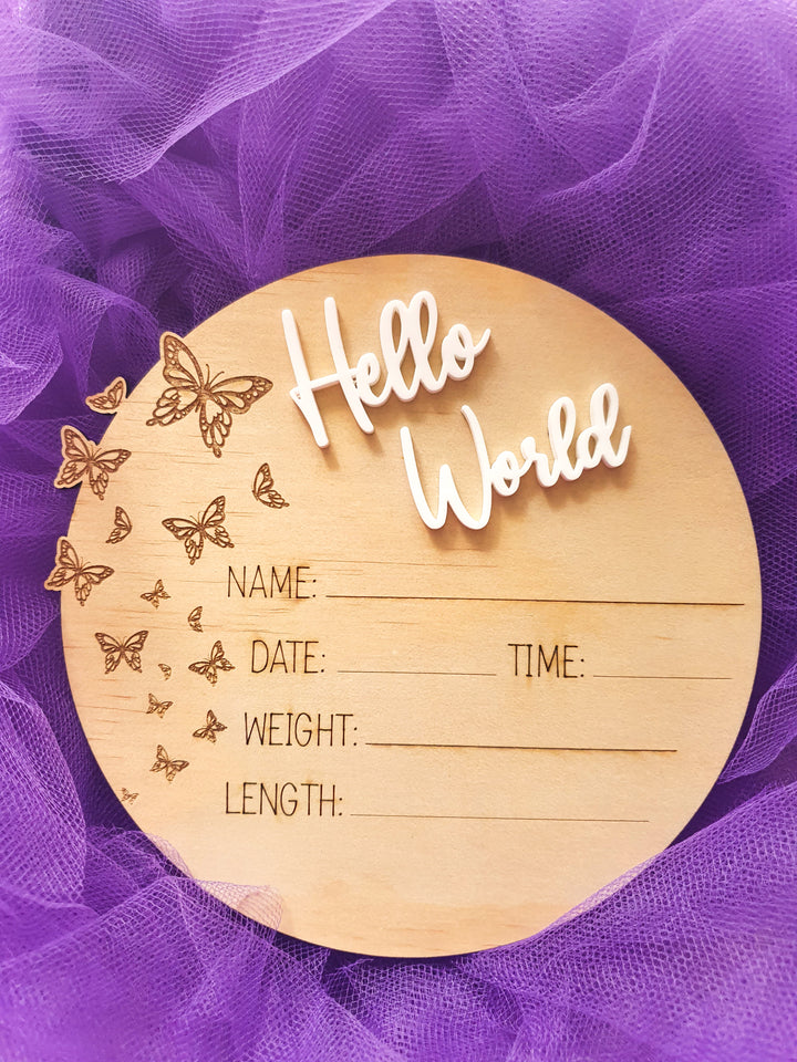 Hello World Butterfly Details 3D