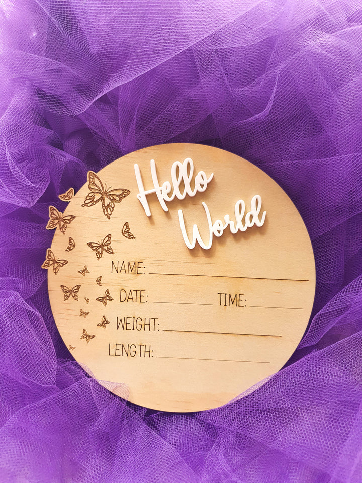 Hello World Butterfly Details 3D